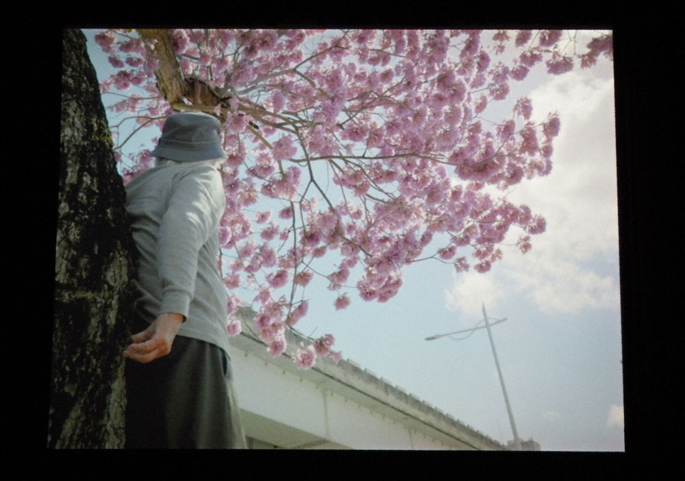「ベラウの花」（2023年）はデジタルで撮影した沖縄の映像と、8㍉フィルムで撮影したパラオの風景が組み合わされている