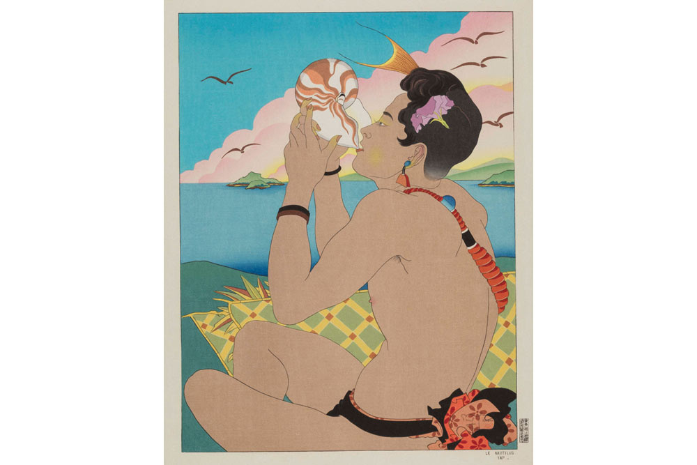 「オウム貝、ヤップ島」（1958年、後期展示）