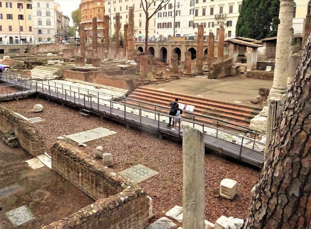 遺跡を間近に見学できるようになったトッレ・アルジェンティーナ広場＝ローマで10月、中島元子氏撮影
