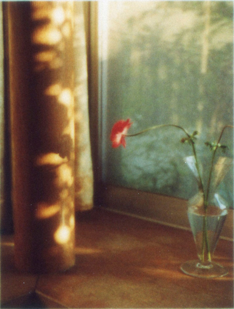 写真集『flowers』（赤々舎）より　ⒸYoshiyuki Okuyama